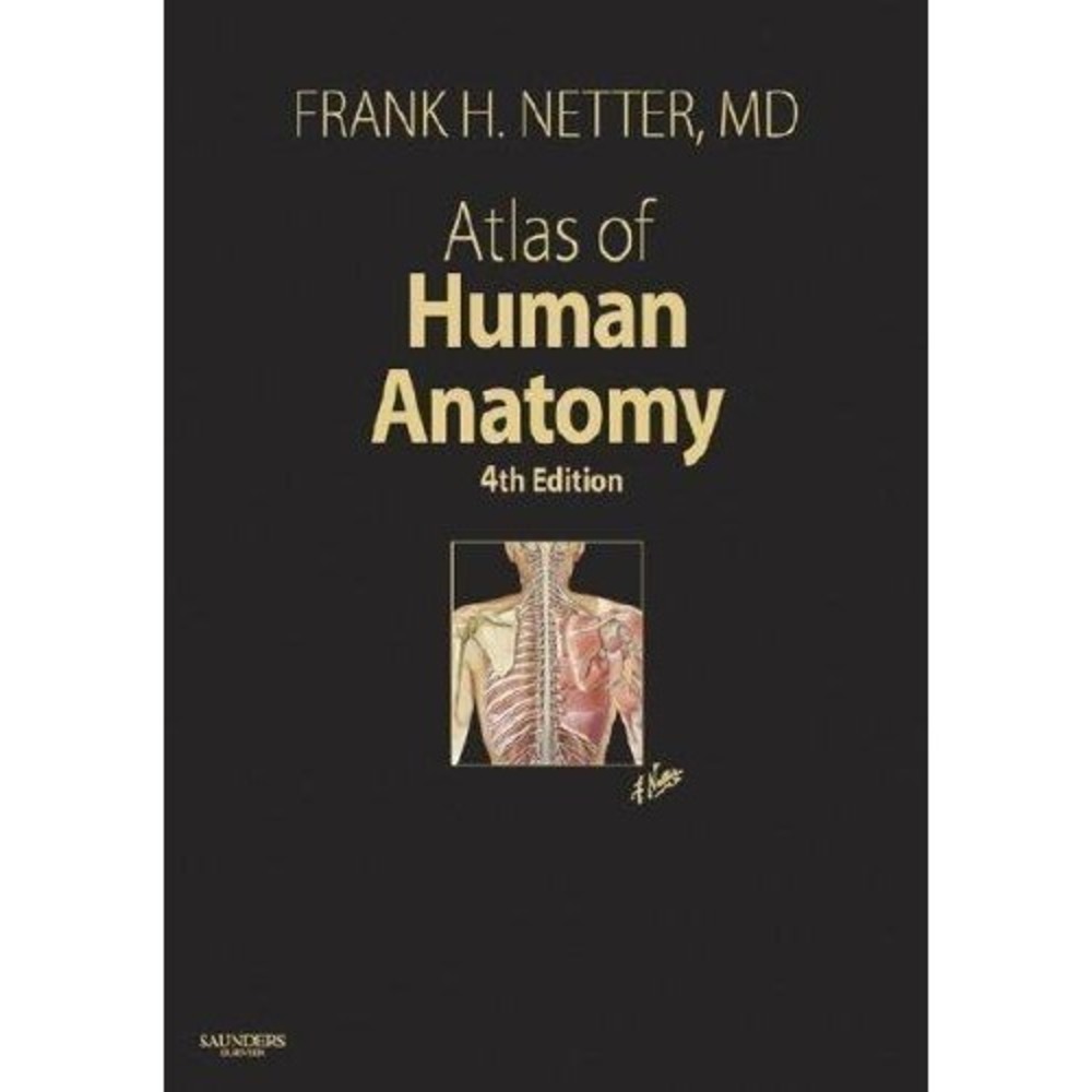 Atlas of Human Anatomy 4th Edition Frank H Netter MD Hardcover Textbook 2006